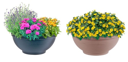 Pflanzschale misa blumenschale - misa,
