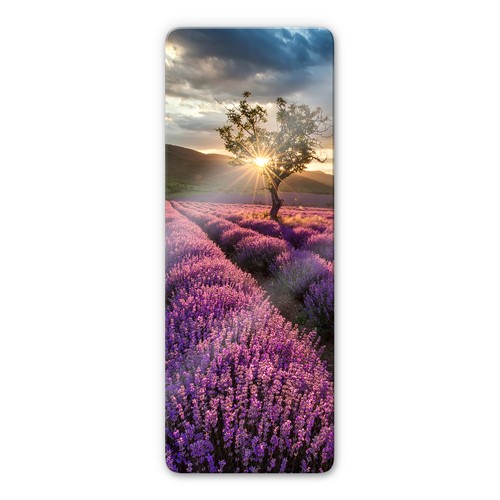 Glas glasbild lavendelblüte - glas,