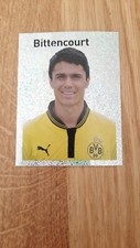 Panini BVB Echte Liebe