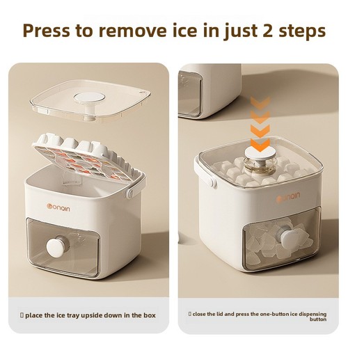Portable ice container ice