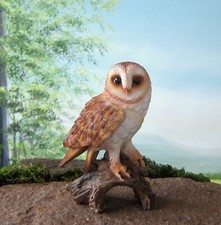 Schleiereule  auf Baumstamm H