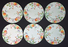 Villeroy & Boch Gallo Design Orangerie 6 Kuchenteller Ø ca 22 cm wie neu