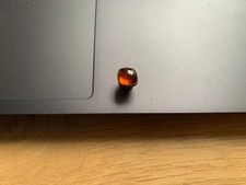 Ehinger Schwarz Charlotte