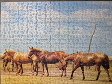 Pferde Aauf der Koppel Weide Puzzel 500 Teile  49,5x36 cm 