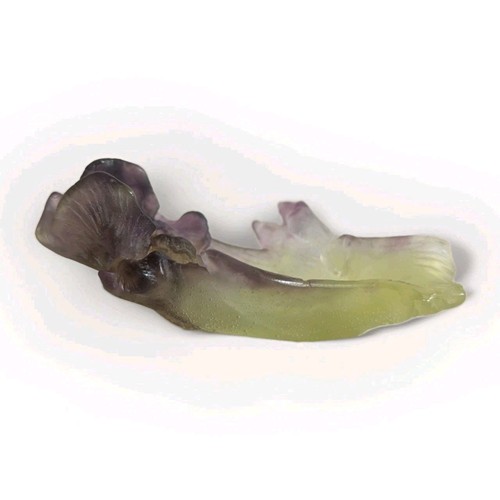 Daum iris mini coupelle pate - iris,
