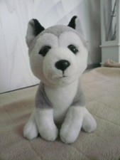 Spielzeug Plüschtier Kuscheltier Hund Husky Schlittenhund StofftierPets2Cuddle