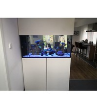 Red Sea Reefer Peninsula 500 / Raumteiler Aquarium