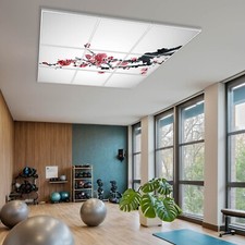 banjado Rasterdecke beleuchtet