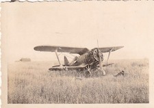 Foto - Russland russisches