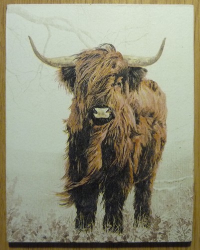 Deko hdf tiere natur - deko,