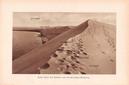 Hohe düne bei nidden auf - hohe,