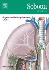 Sobotta Lernkarten Organe und