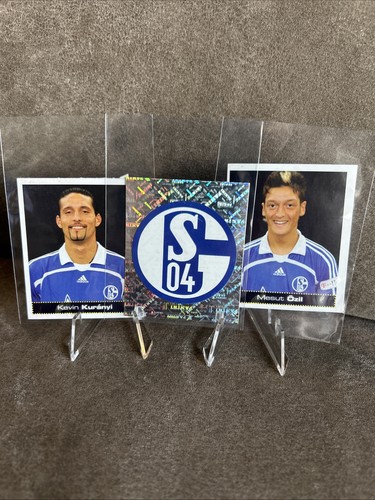 Panini sticker schalke - 07/08,