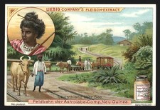 Sammelbild Liebig, Neu-Guinea