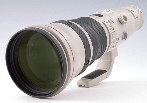 Canon 800mm 6l is - canon,