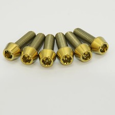 GOLD Titan Schaft Bolzen -