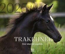 Trakehner 2025: Eine lebende