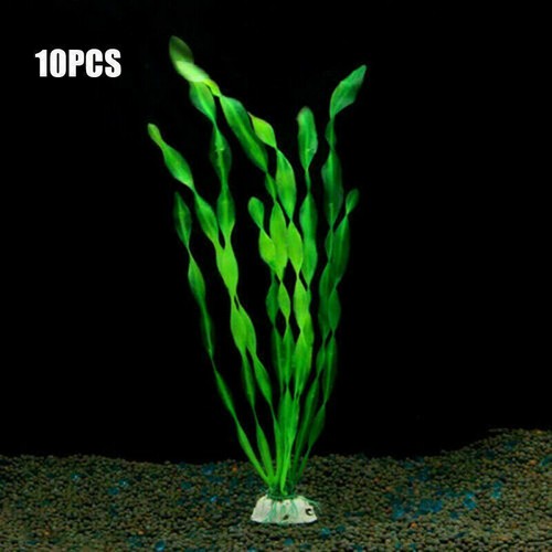 10x aquariumpflanzen - 10x,