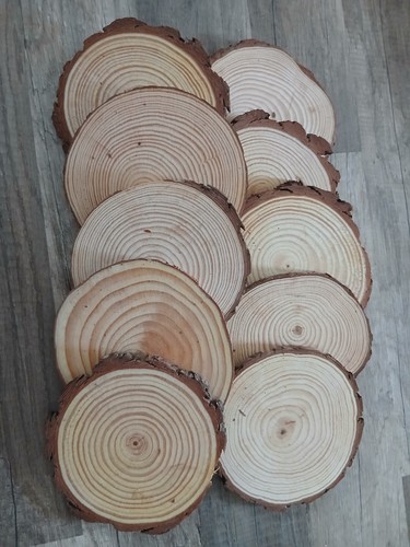 Baumscheiben cm - 10,