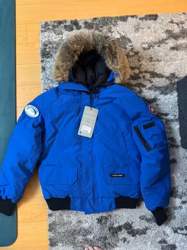 Canada goose pbi - goose,