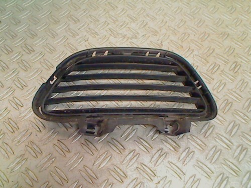 Stoßstangengitter citroën - citroën, c5