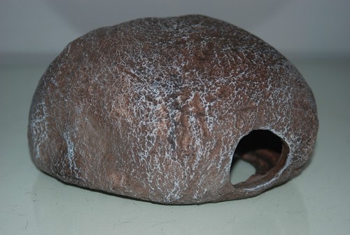 Vivarium reptilien felsen - vivarium,