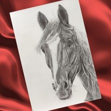 Pferd Bleistiftzeichnung Original, Pferde Bilder, Schwarz weiß, Pferde Zeichnung