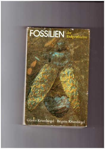 Fossilien der erdgeschichte - fossilien,