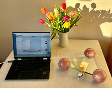 QUANTEC 6.0 Bioresonanzgerät mit unbefristeter Lizenz