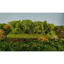 Hecke klein Frühling ca. 4 x