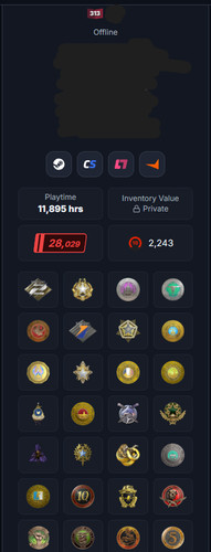 Cs2 steam acc years - cs2,