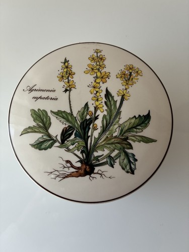 Villeroy boch botanica - villeroy, &