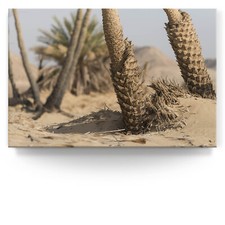 Panorama Landschaftsbild als