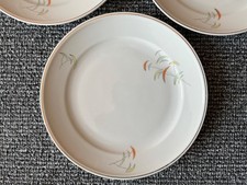 6 Weimar Kuchenteller "Petra"