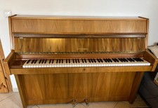 Gut erhaltenes Schimmel