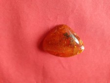 Brosche Bernstein mit