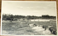AK ~1960: Bordelum Fischteiche Stollberg Bredstedt Husum Nordfriesland