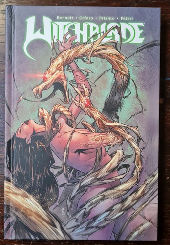 Witchblade 2 hardcover - witchblade, 2,
