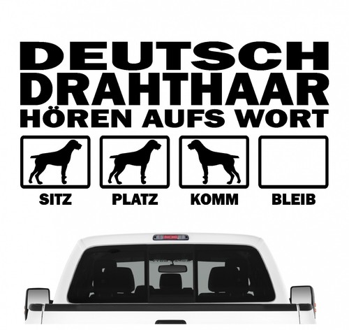 Deutsch drahthaar deutscher - deutsch, dd