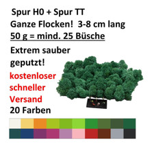 Muwse ohne Dreck ca 25 Büsche