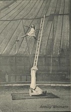 Artistik Zirkus Artistique