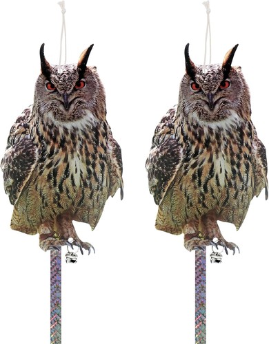 Eule vogelschreck stück - eule,
