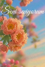 I Love You - Turkish - Art