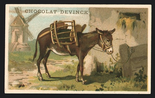 Sammelbild chocolat devinck - sammelbild,