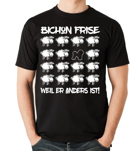 Black sheep bichon - sheep, frise