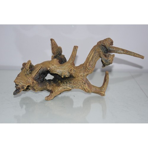Aquarium mopani - aquarium,