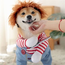 Kostüme für Hunde Katze