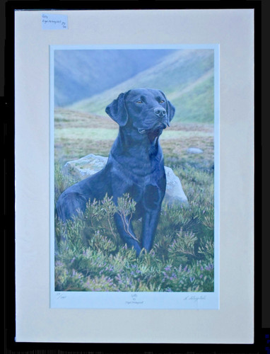 Nigel artingstall high quality - high,