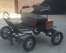 Buggy - Minishetty/Shetty - 12