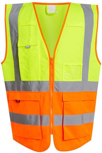 Pro vis executive - pro,